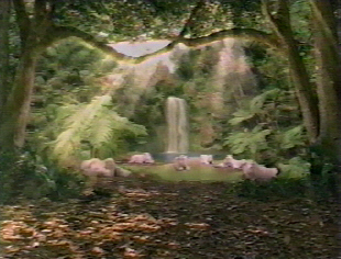 Ghosts of the Forest